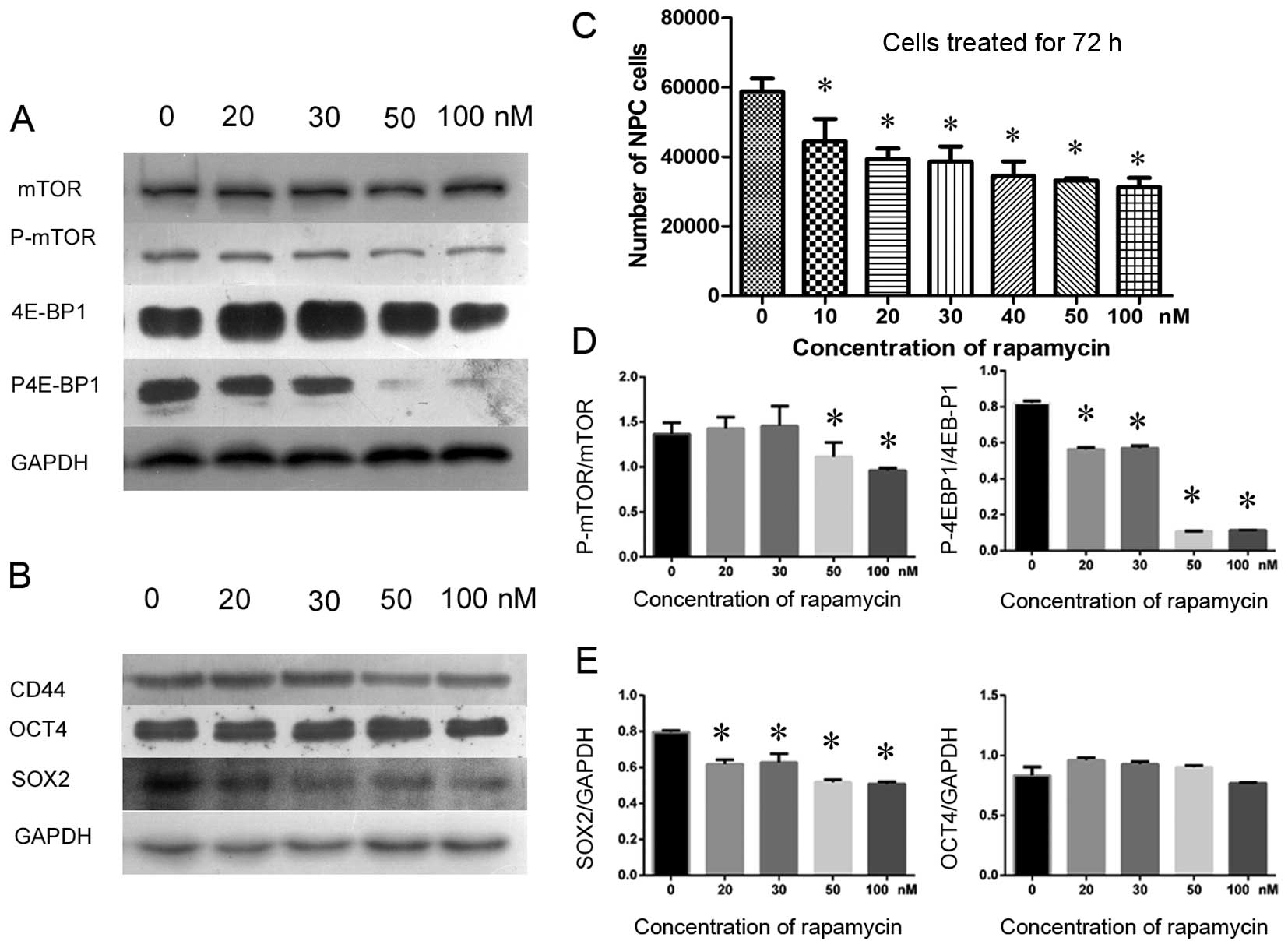 (PDF) Downregulation of cancer stem cell properties via 