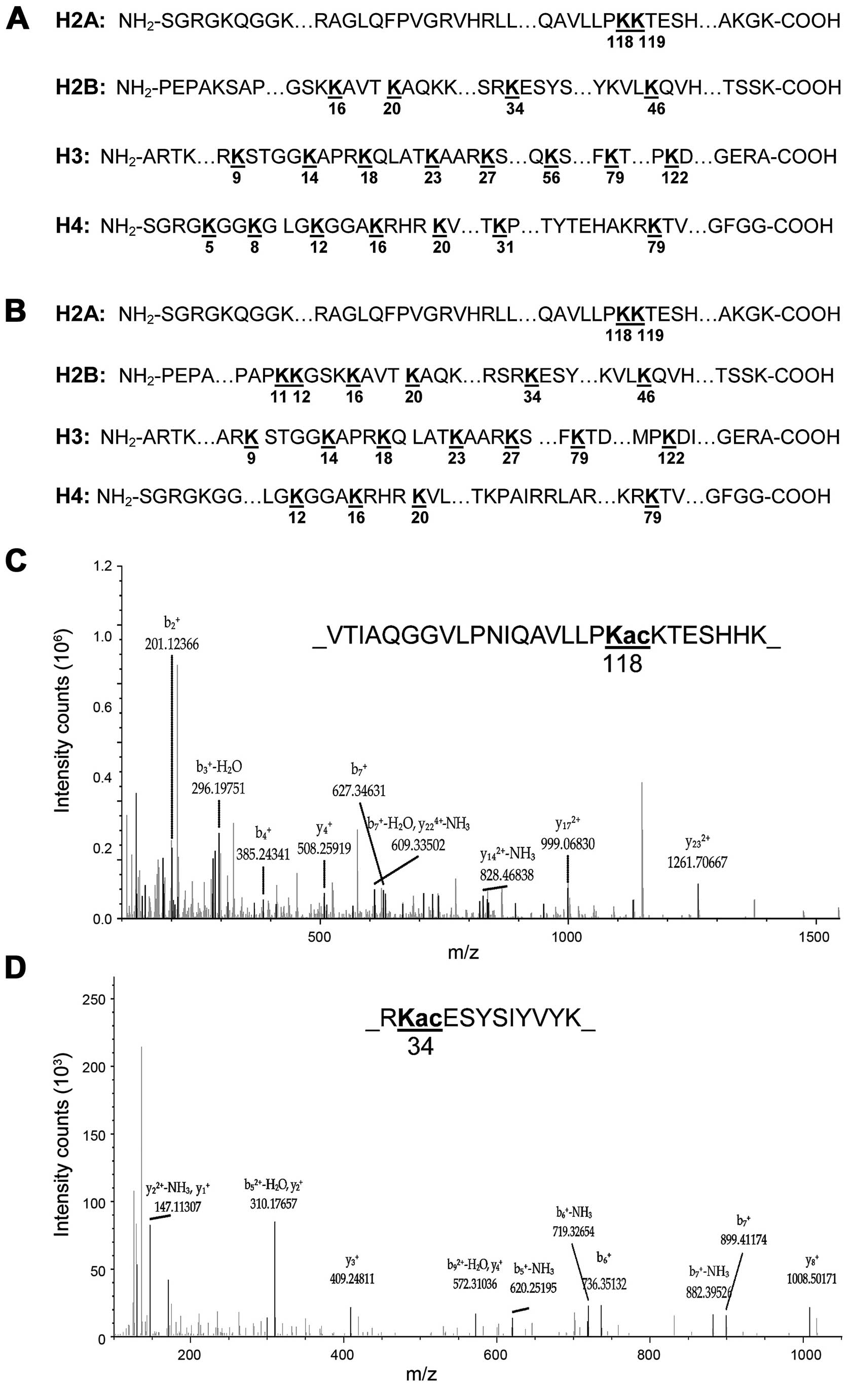 Histone Modification Chart