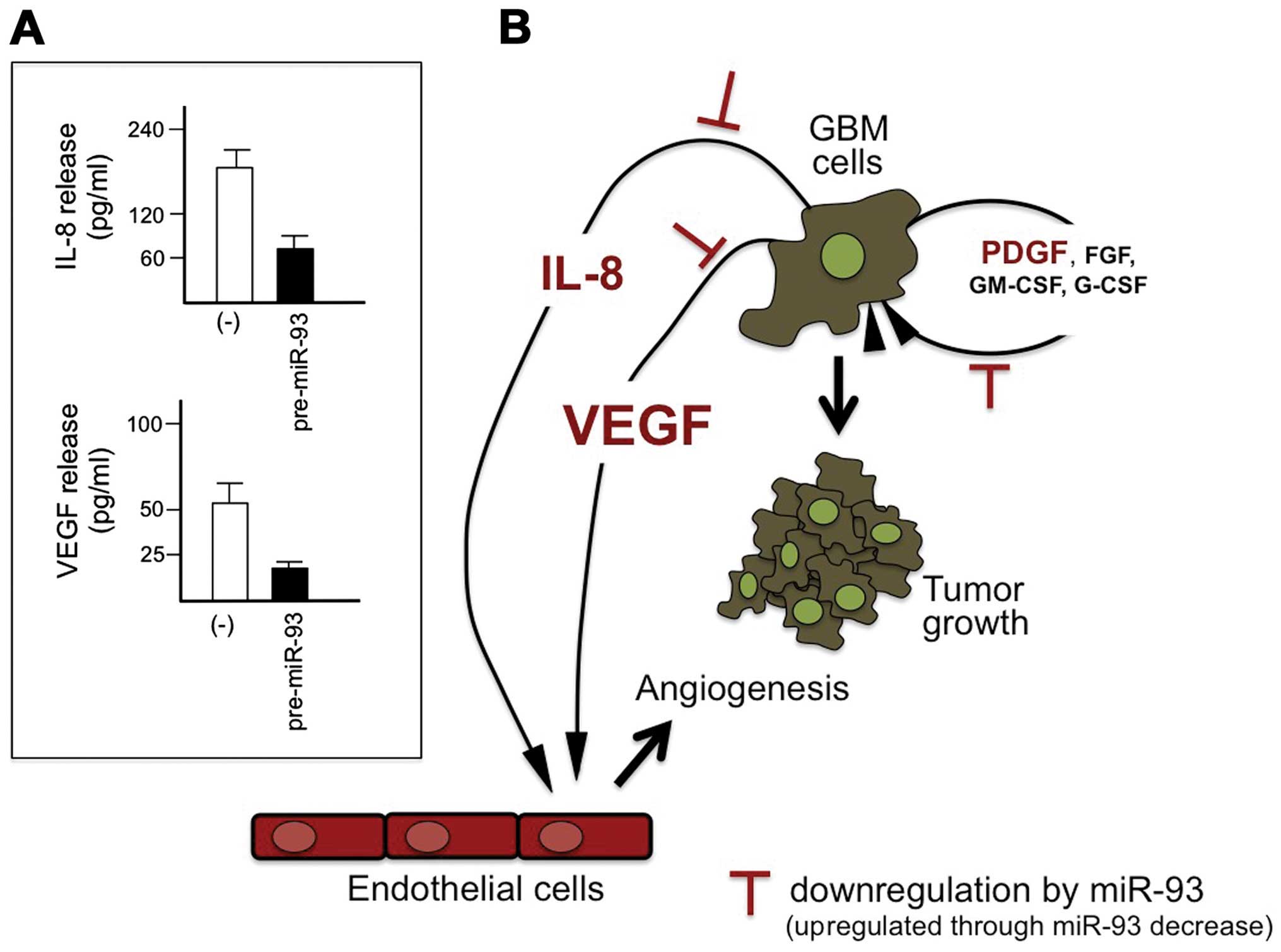 Targeting oncomiRNAs and mimicking tumor suppressor miRNAs: Νew 