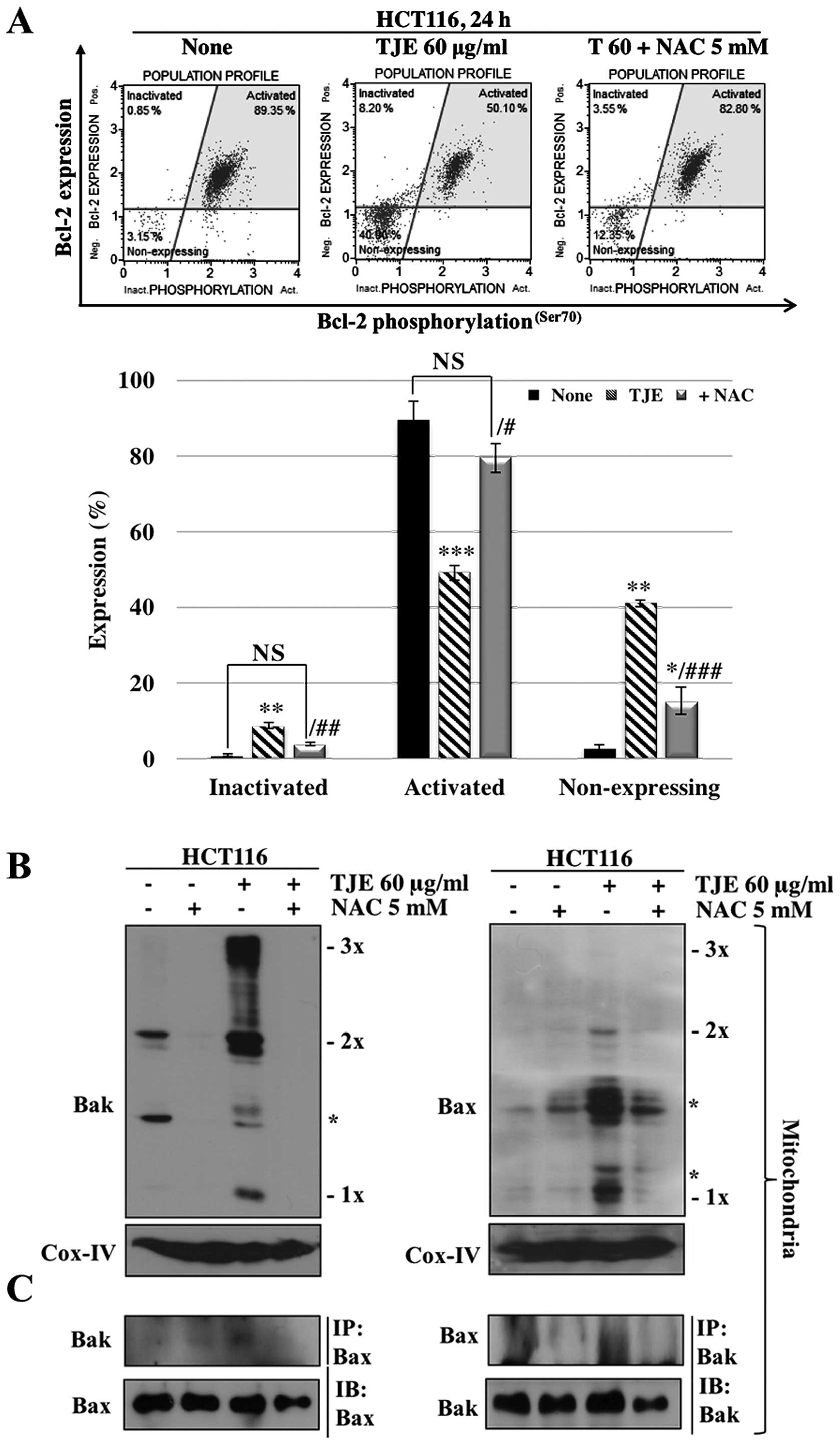 Torilis japonica extract-generated intracellular ROS induces 
