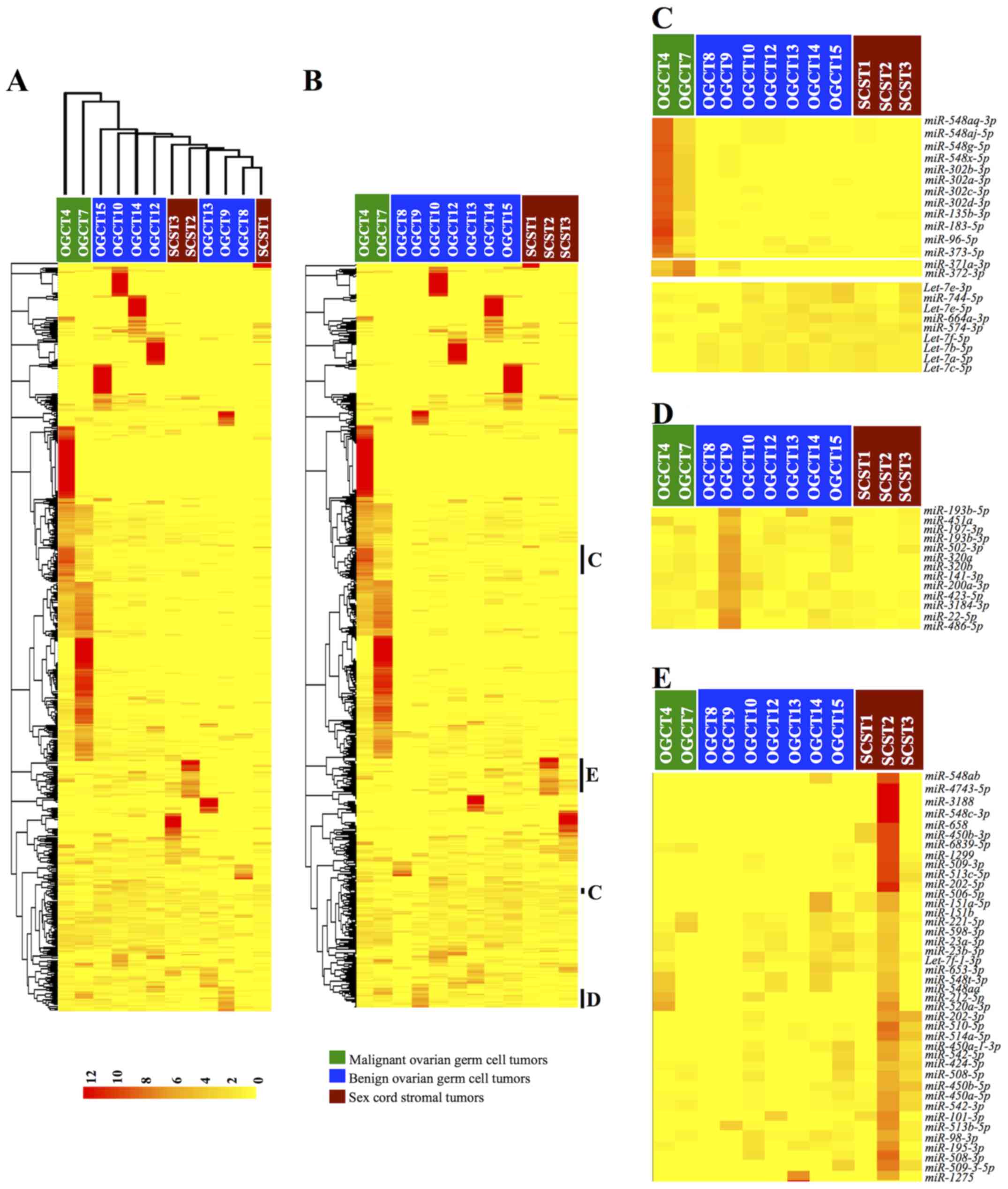 A Genetic Screen Implicates miRNA-372 and miRNA-373 As Oncogenes in  Testicular Germ Cell Tumors: Cell