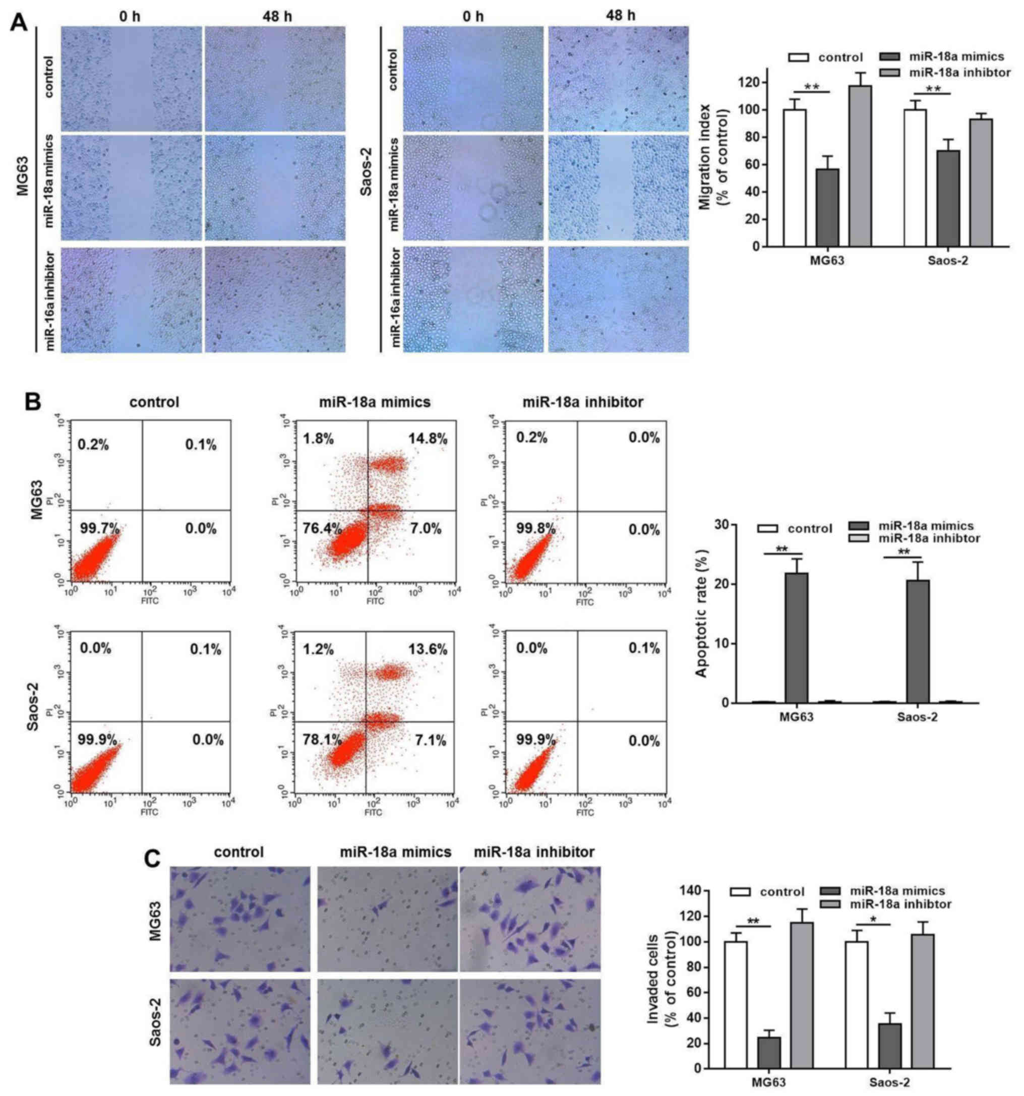 Invitrogen Gel Migration Chart