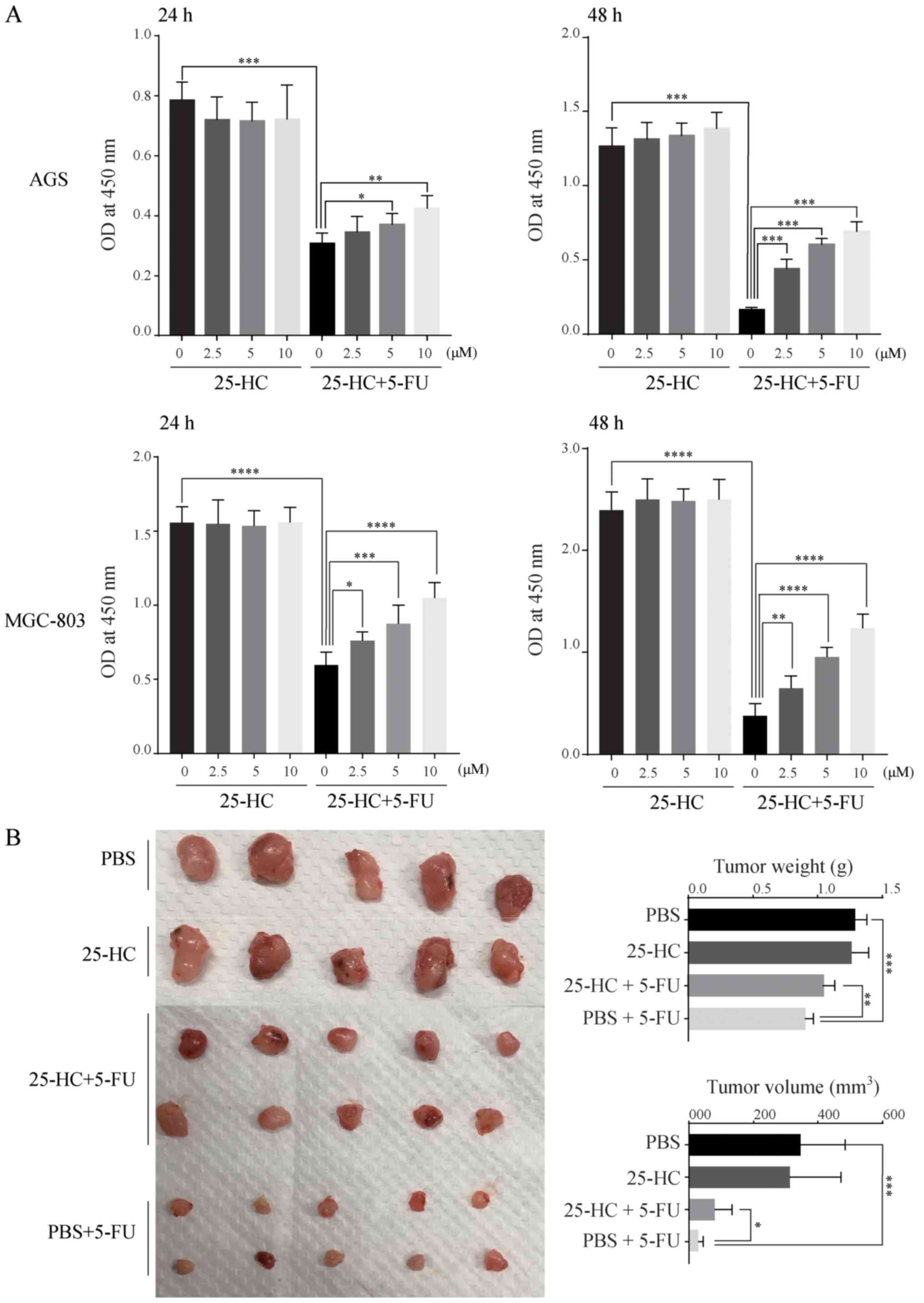 25-HC decreases the sensitivity of human gastric cancer 