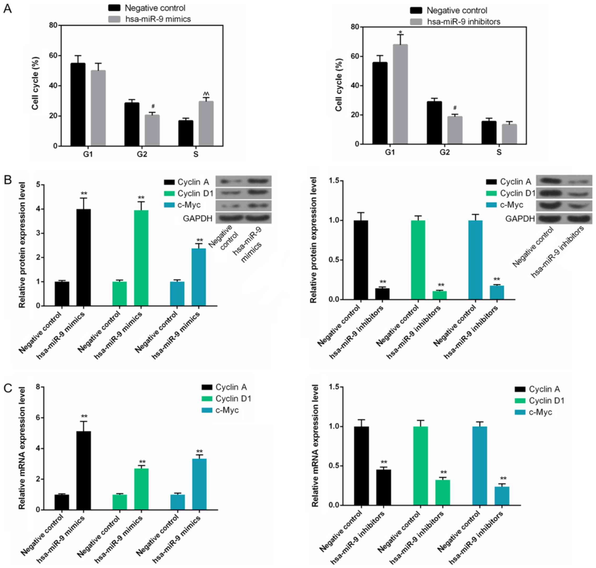 miR‑9 depletion suppresses the proliferation of osteosarcoma cells 