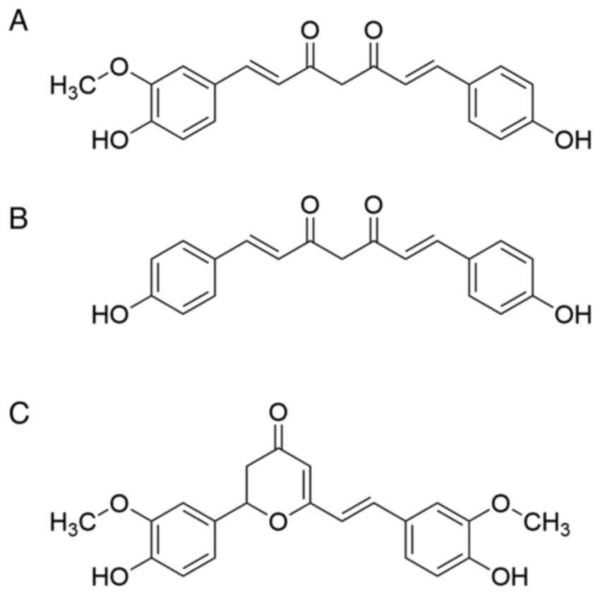 Molecular structures of curcuminoids.
(A) Demethoxycurcumin, (B) bisdemethoxycurcumin and (C)
cyclocurcumin.