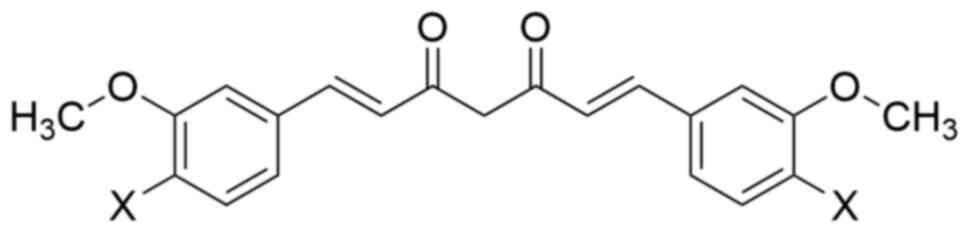 Halogenated curcumin derivative.
Phenolic hydroxyl groups on curcumin are replaced by halogens,
where X represents F, Cl or Br.