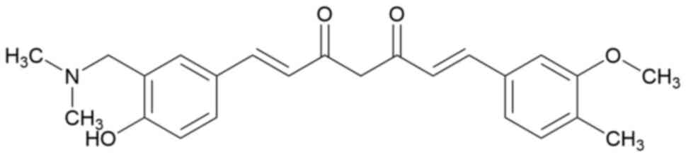 Dimethylaminomethyl curcumin
derivative. The methoxy group on one acyl ring is replaced by
dimethylaminomethyl, which increases the water solubility of the
curcumin derivative and the steric hindrance of the molecule to
protect the active phenolic hydroxyl group.