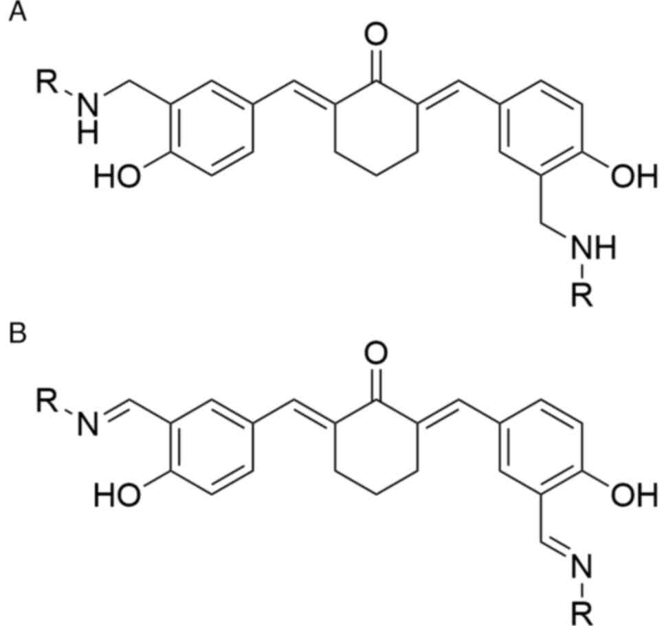 Bis-imino and bis-amino curcumin
derivatives. (A) Bis-amino curcumin and (B) Bis-imino curcumin.