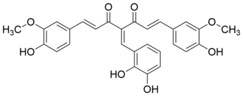 Aliphatic chain-modified substituent.
The carbon 4 atom between the β-diketones of curcumin is linked to
aromatic aldehydes with two phenolic hydroxyl groups.