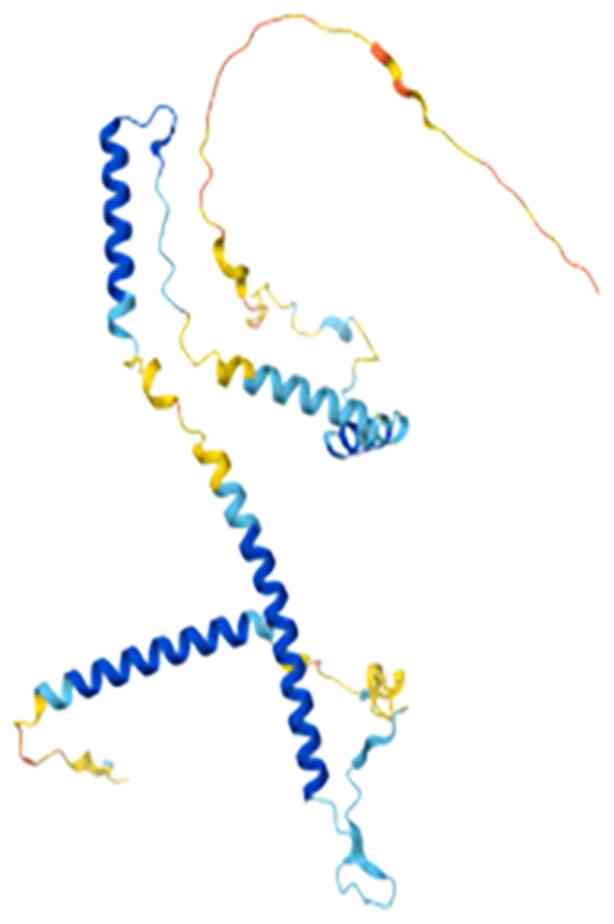 Structure of CCDC137. Three
dimensional structures from AlphaFold (predicted) for CCDC137
Gene.