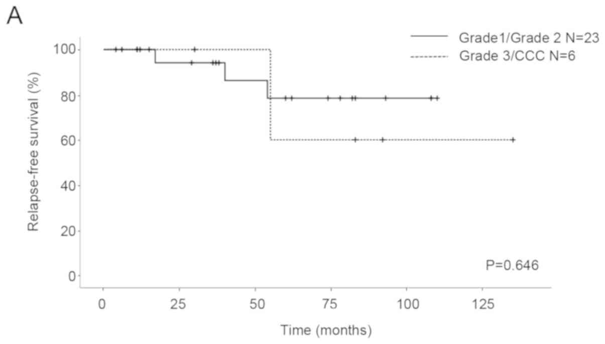 Oncological and reproductive outcomes after fertility-sparing