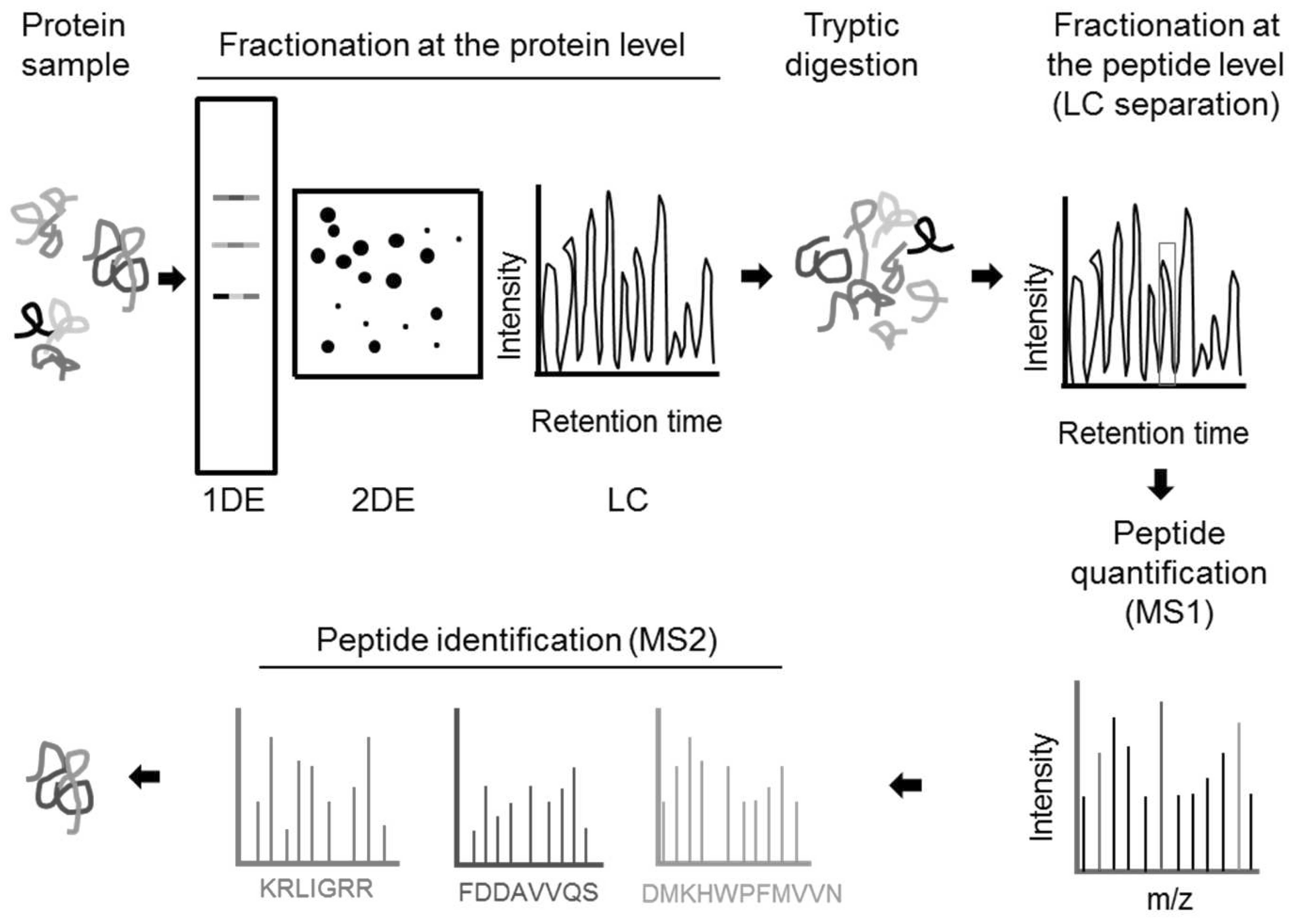 Multidimensional LC Separations in Shotgun Proteomics