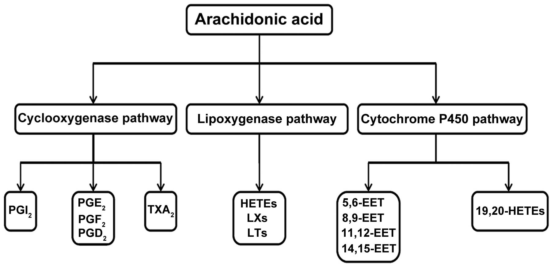 Nsaid Potency Chart