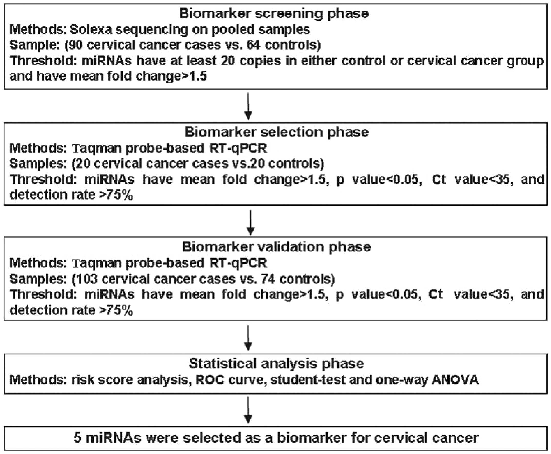 Pathophysiology Of Cervical Cancer In Flow Chart