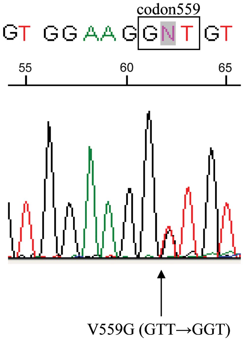 ckit mutationpositive advanced thymic carcinoma successfully treated