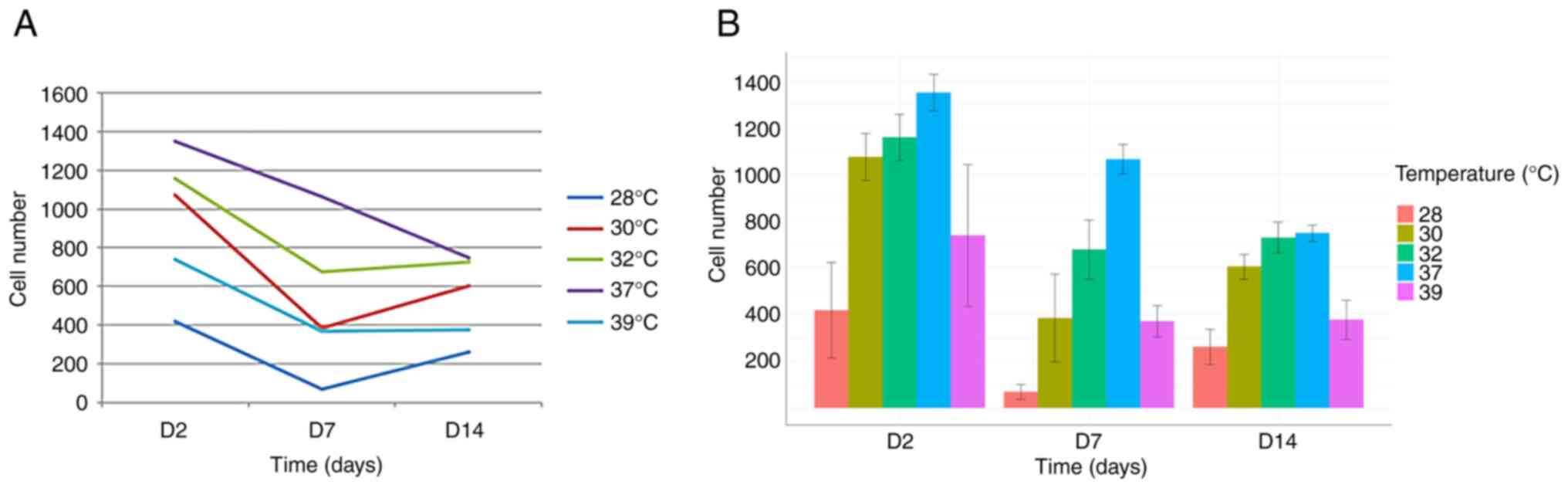 (A) Number of neural precursors
measured at the time points of 2, 7 and 14 days, after 48 h of
exposure to various temperatures. While exposure to hypothermia and
hyperthermia decreased the number of early (D2) and mid-term
precursors (D7), compared to the normothermia group, such effects
were not so visible in the late precursors (D12-D14), when mild
hypothermia (32˚C) was compared to normothermia. (B) Detailed
graphs with values and standard deviations for every time point and
every temperature. D, day.