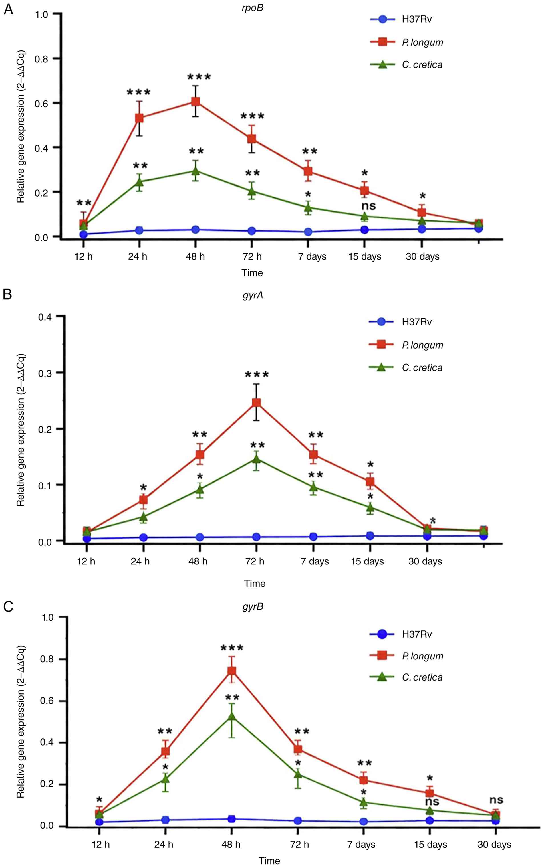 Time-dependent changes in relative
expression of (A) rpoB, (B) gyrA, (C) and gyrB
in Mycobacterium tuberculosis H37Rv following treatment with
Piper longum and I extracts. Relative gene expression was
determined using the comparative 2-ΔΔCq method and
normalized to the untreated H37Rv control. Data are presented as
the mean ± SD from three independent experiments. Statistical
analysis was performed using two-way ANOVA with treatment and time
as the two factors, followed by Tukey's multiple-comparisons test.
Comparisons were made between treatment groups at each time point
and between different time points within each treatment group.
*P<0.05, **P<0.005 and
***P<0.0005; ns, not significant. P. longum,
Piper longum; C. cretica, Cressa cretica.