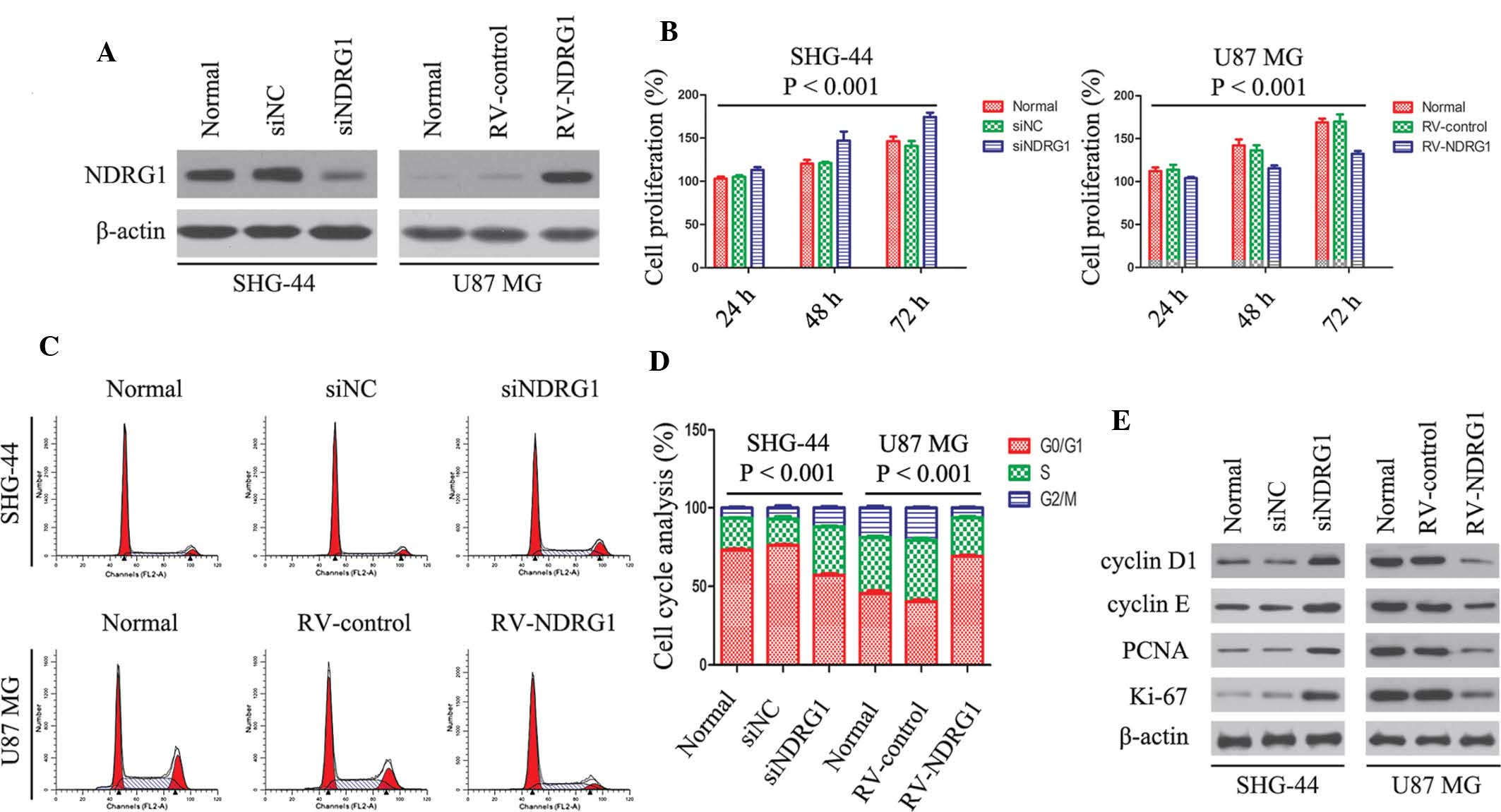 Overexpression Of N‑myc Downstream‑regulated Gene 1 Inhibits Human Glioma Proliferation And