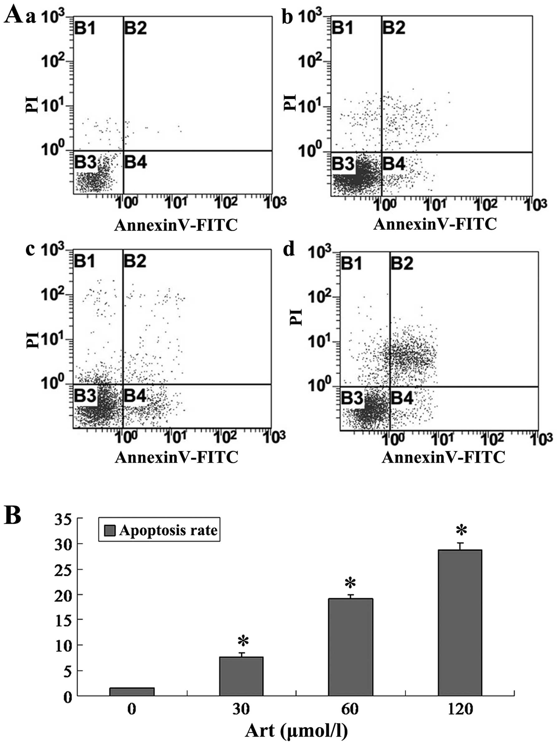 (PDF) Artesunate inhibits the growth and induces apoptosis 