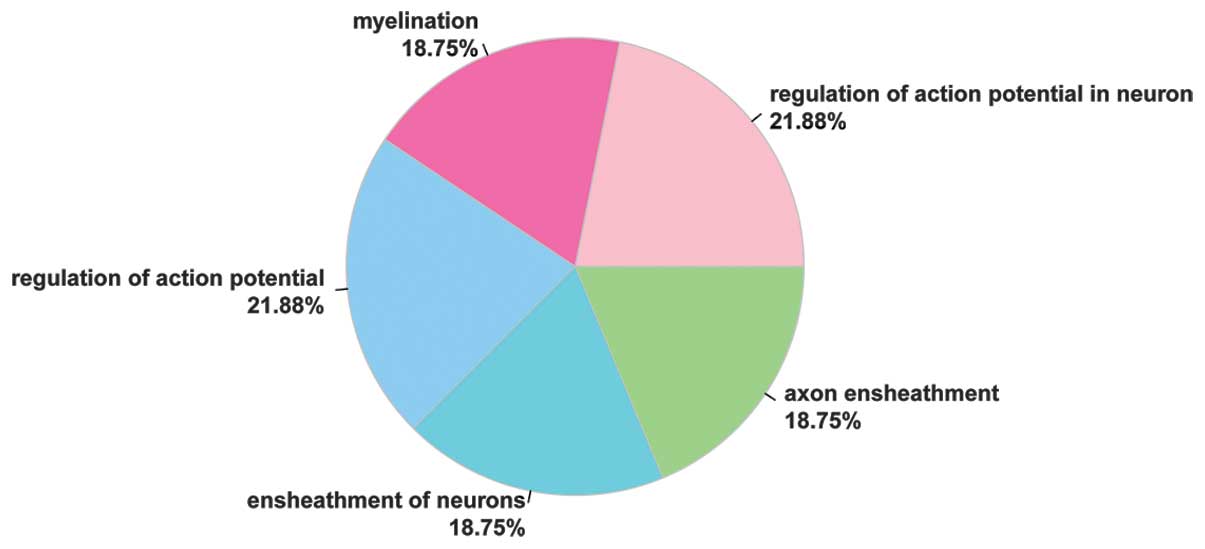 Gene Ontology Pie Chart