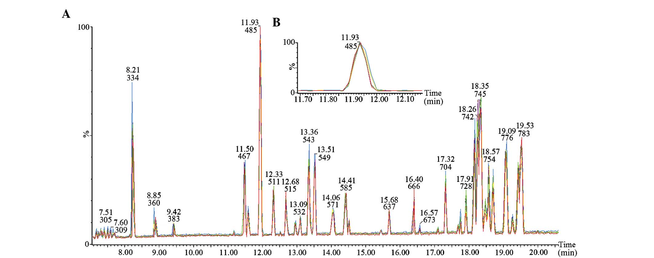 Typical BPI of feces samples in positive ESI mode. (A) Control group;