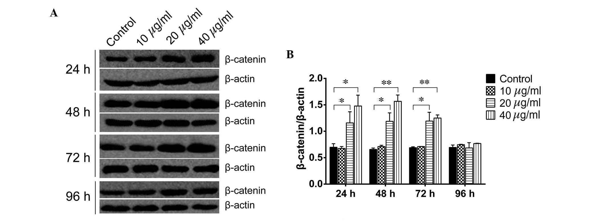 Tanshinone Iia Promotes The Proliferation Of Wb F344 Hepatic Oval Cells Via Wnt B Catenin Signaling