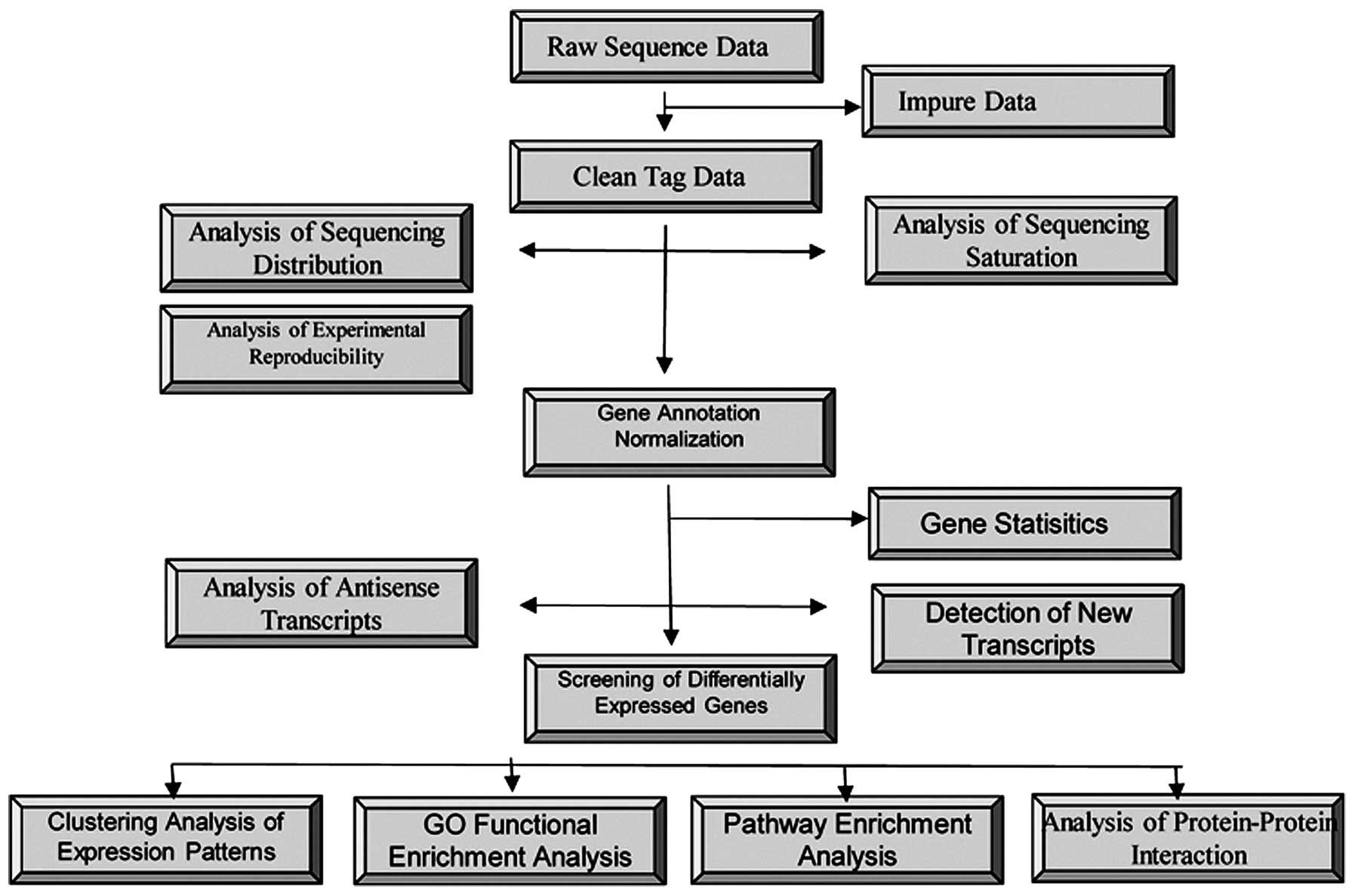 Gene Expression Chart