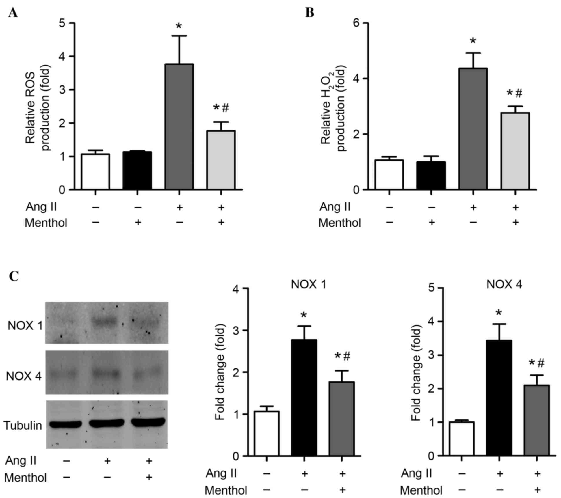 Rho-Kinase Mediates Angiotensin II-Induced Monocyte Chemoattractant  Protein-1 Expression in Rat Vascular Smooth Muscle Cells