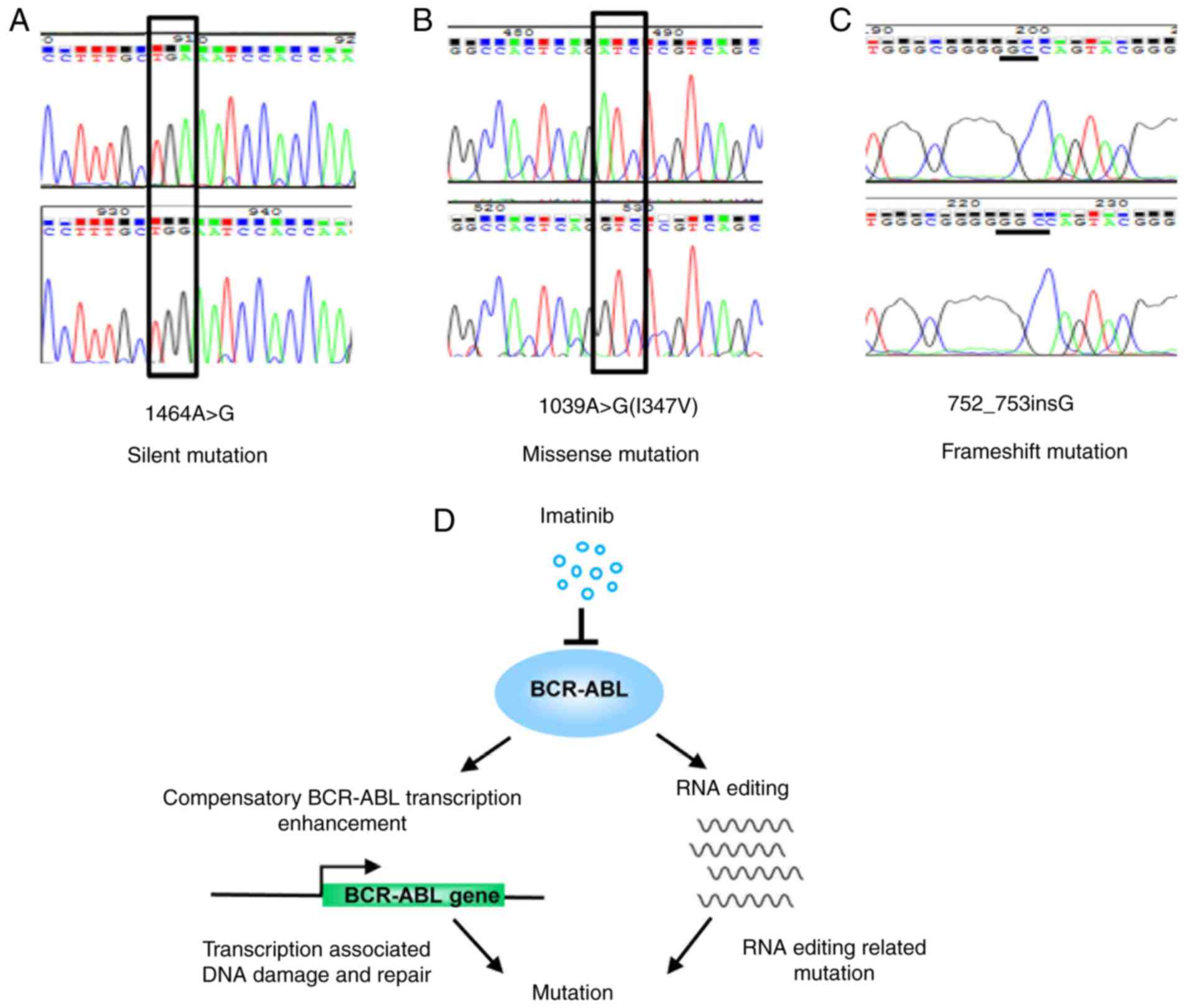 (PDF) Semi‑random mutagenesis profile of BCR‑ABL during 