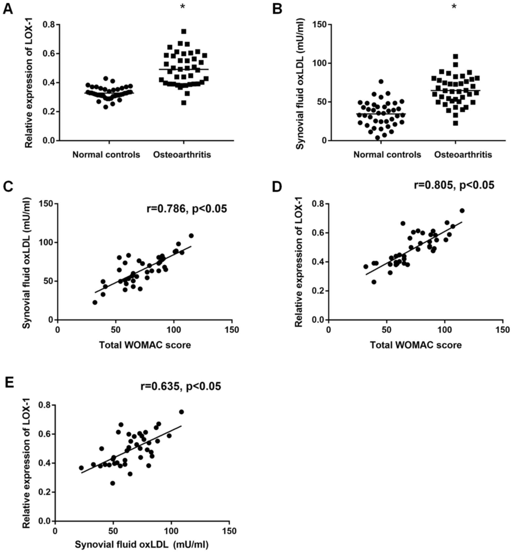 Oxidized Low Density Lipoprotein Facilitates Tumor Necrosis Factor A Mediated Chondrocyte Death Via Autophagy Pathway