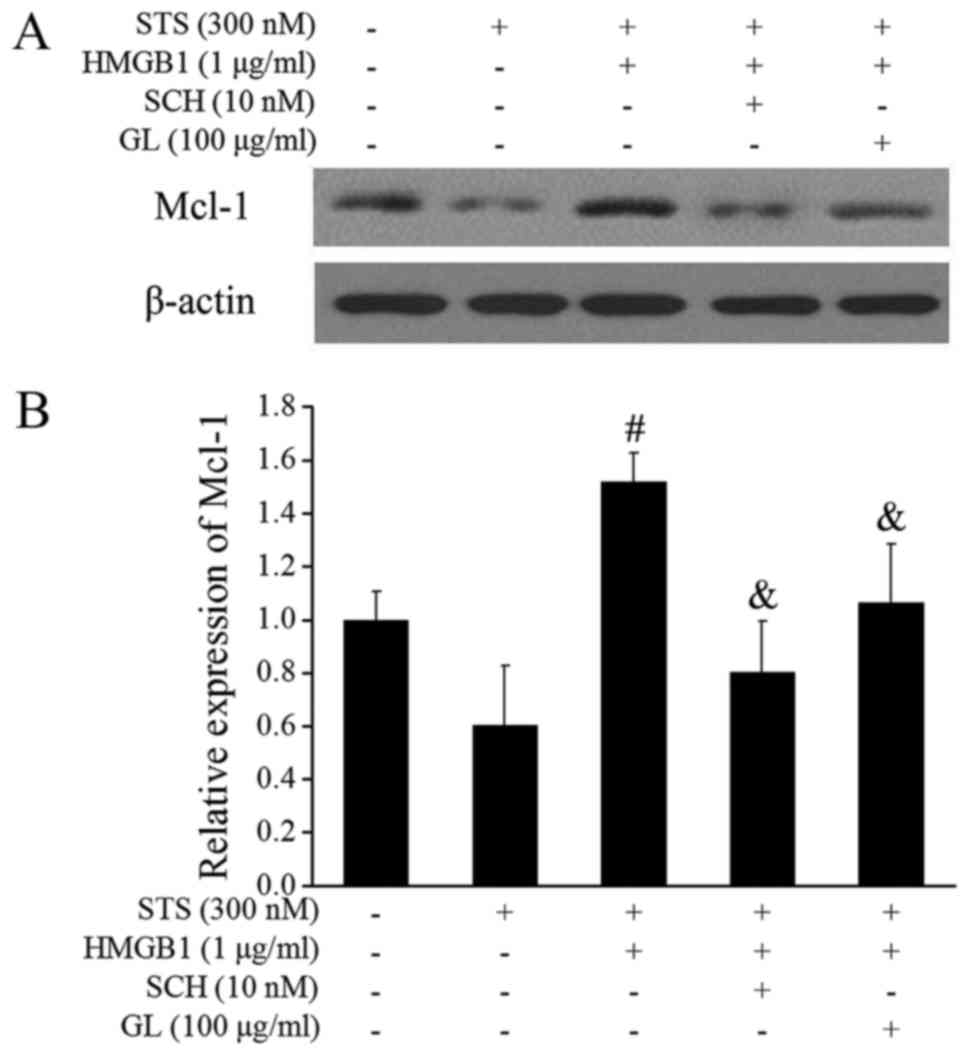 Monocytes Levels Chart