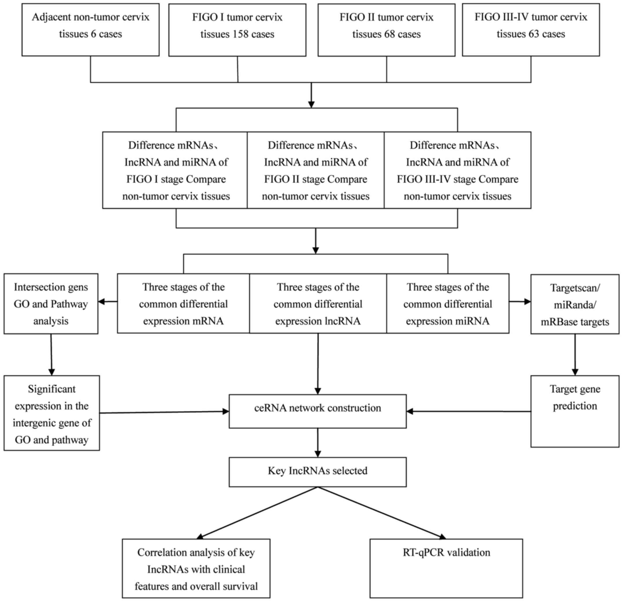 Competing Pathways Chart