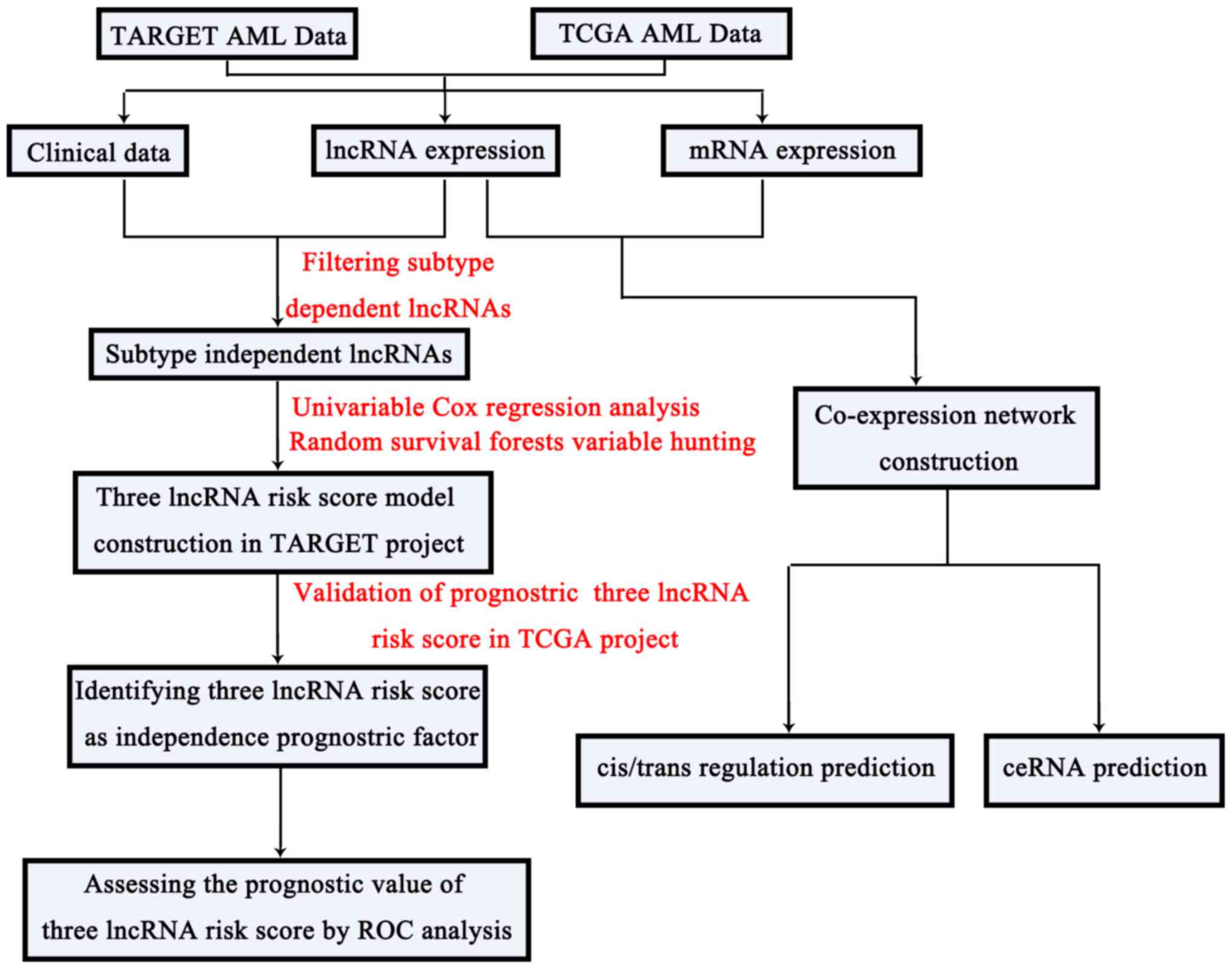 Leukemia Chart