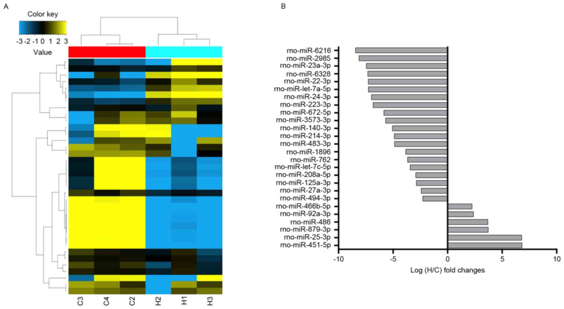 Frontiers  Impact of High-Altitude Hypoxia on Bone Defect Repair