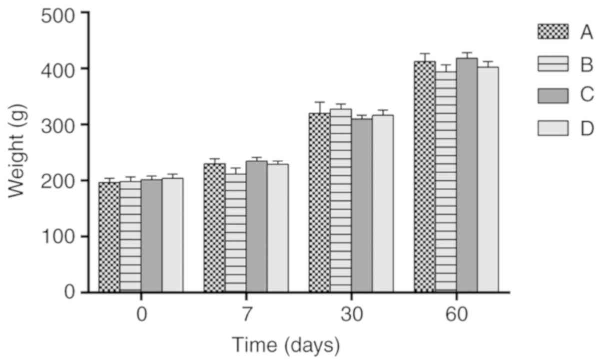 prostatitis and alcohol consumption