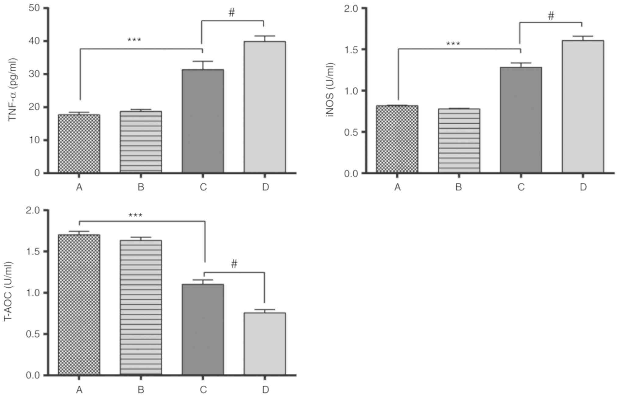 prostatitis and alcohol consumption