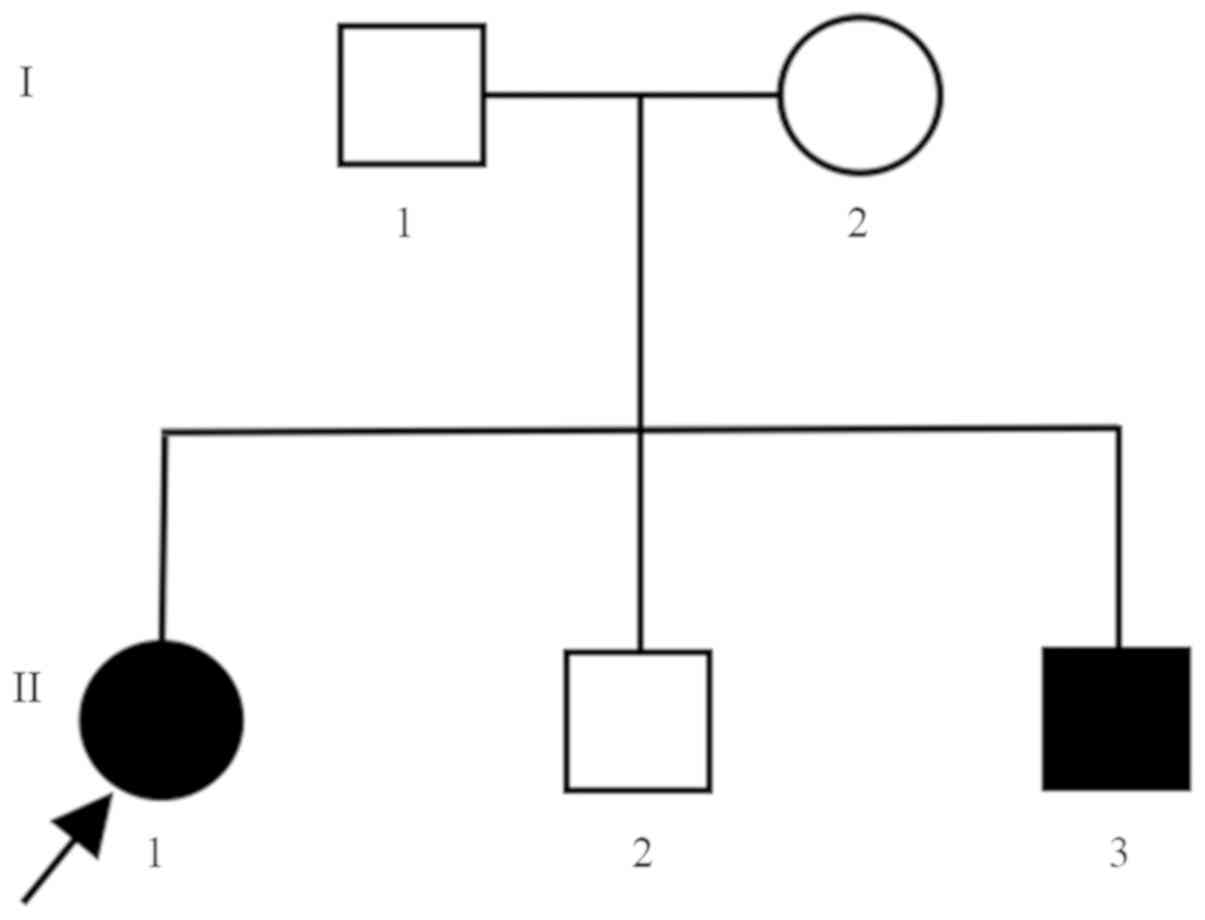 Birth By Sleep Synthesis Chart