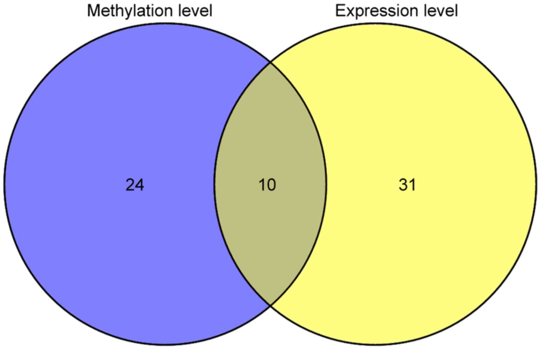 Characterization of a prognostic four‑gene methylation signature ...