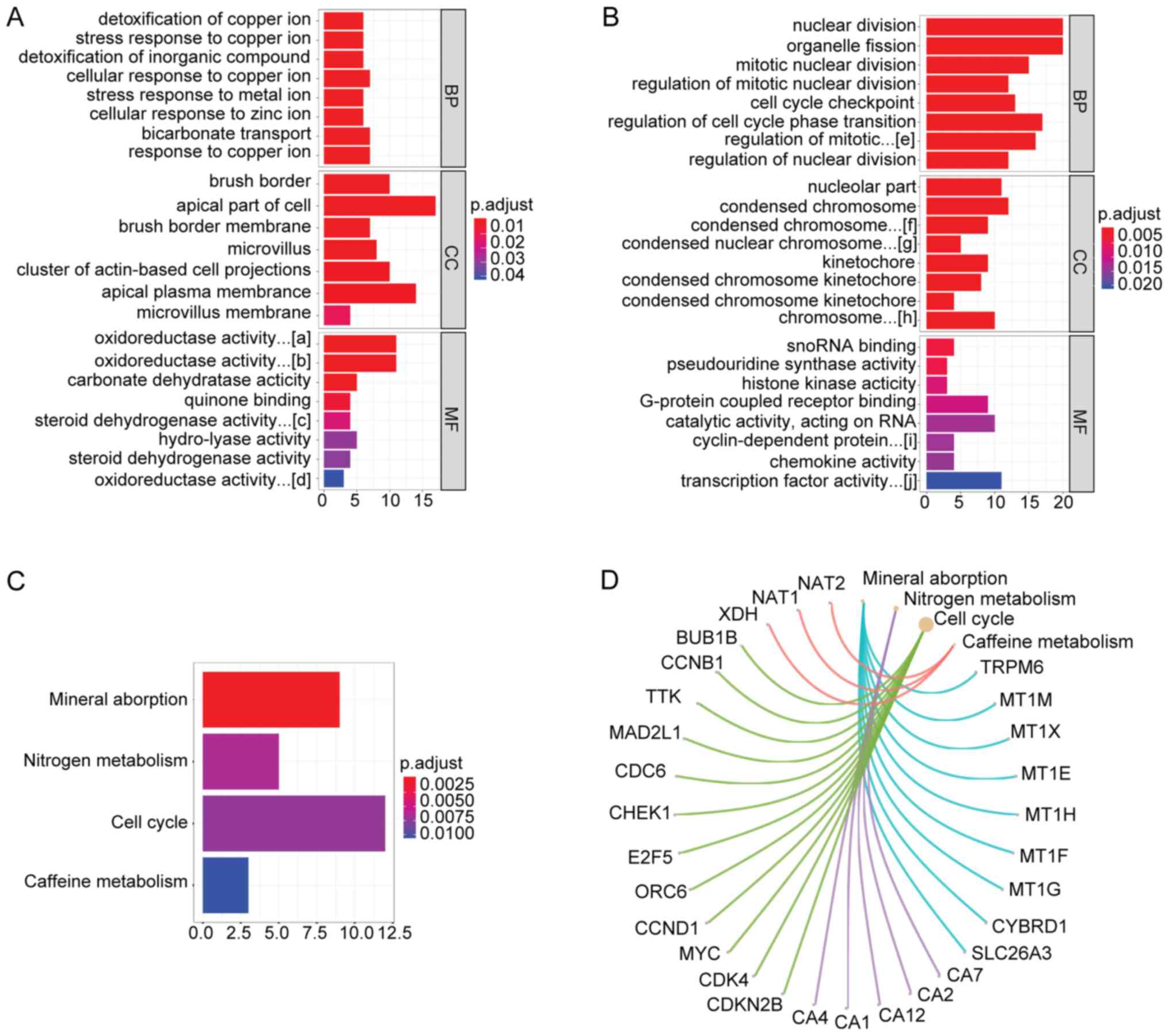 Espere entre Tranquilidad de espíritu Screening key genes and signaling pathways in colorectal cancer by  integrated bioinformatics analysis