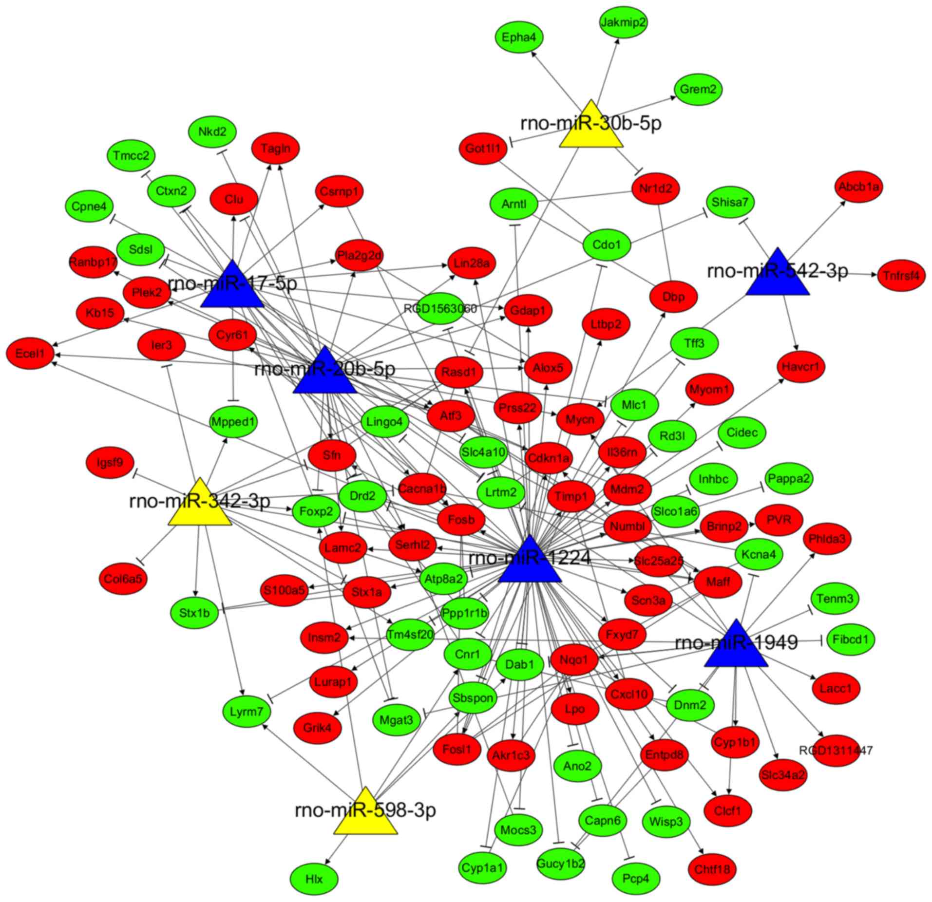 Meta-analysis of miR-34 target mRNAs using an integrative online  application - Computational and Structural Biotechnology Journal