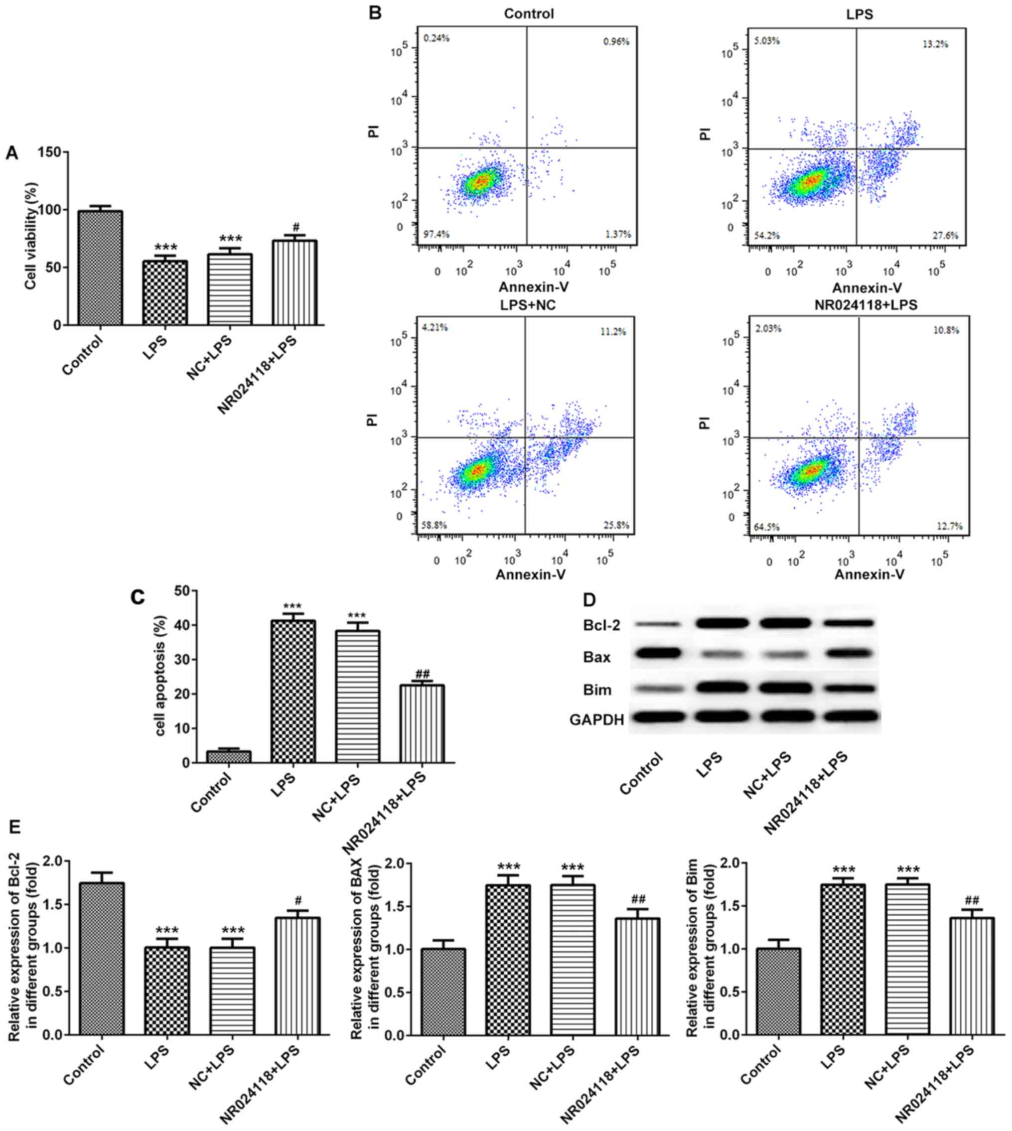lncRNA‑NR024118 overexpression reverses LPS‑induced inflammatory 