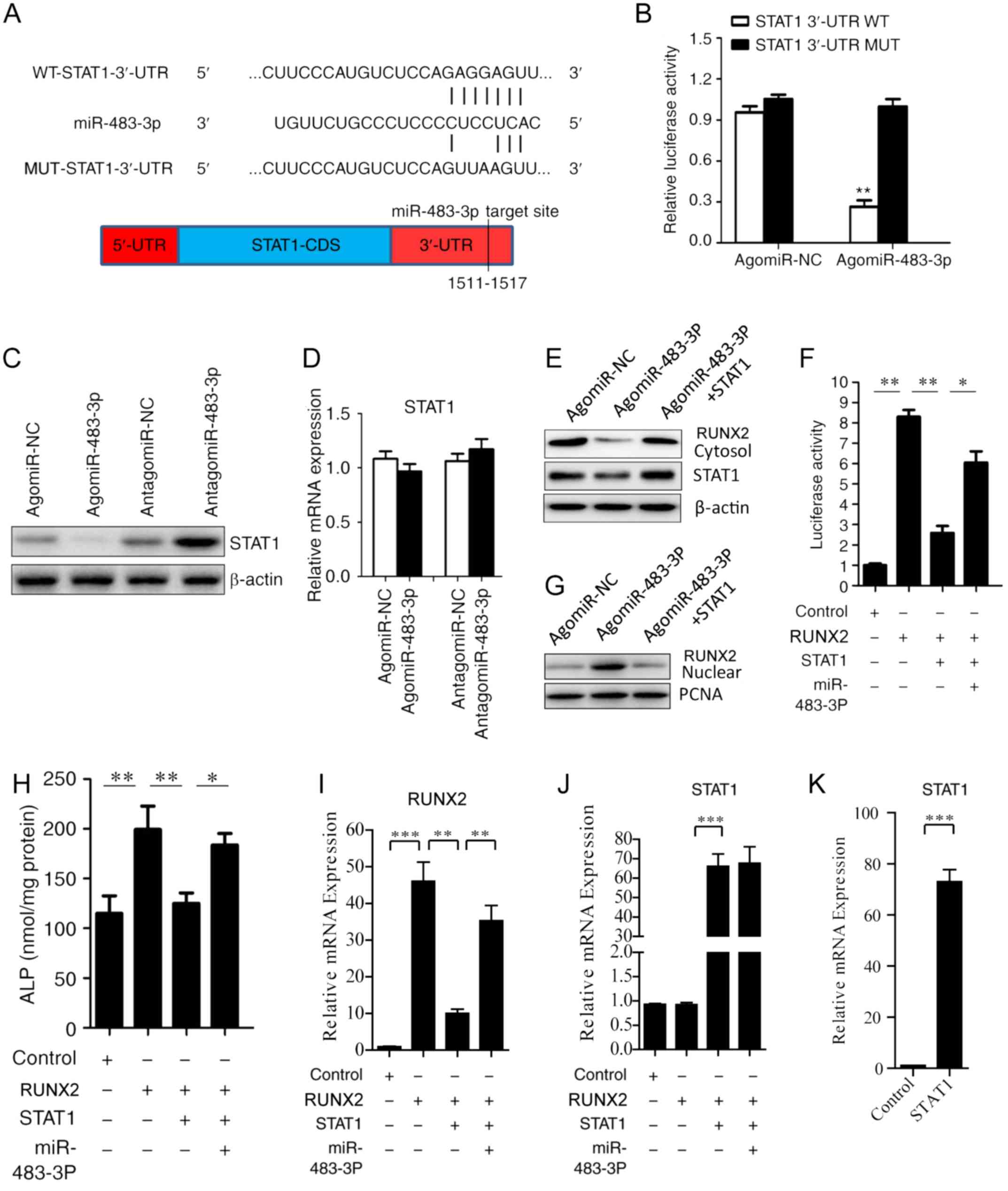 Takara Restriction Enzyme Buffer Chart