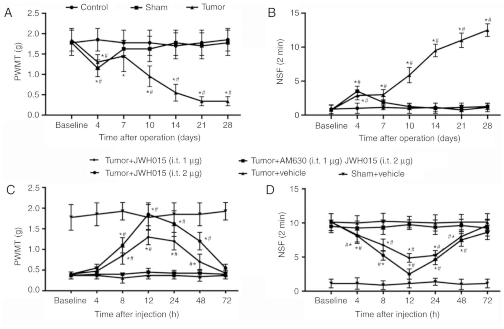 Cannabinoid 2‑selective agonist JWH015 attenuates bone cancer pain through the amelioration of impaired autophagy flux by inflammatory mediators in the spinal cord