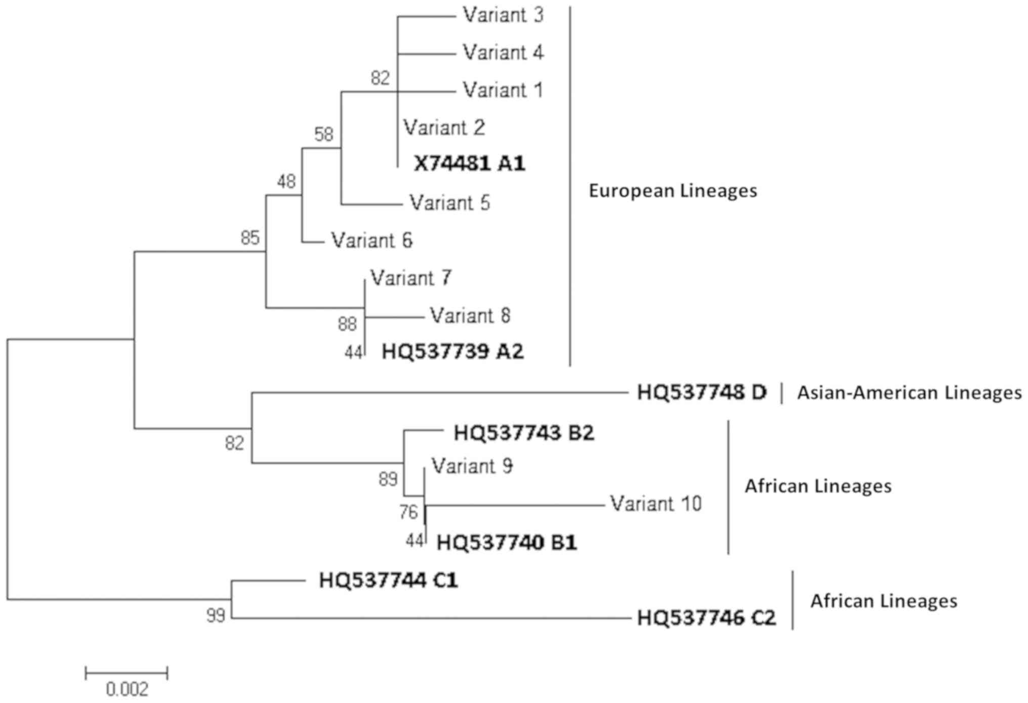 human papillomavirus infection variants papiloma labial sintomas