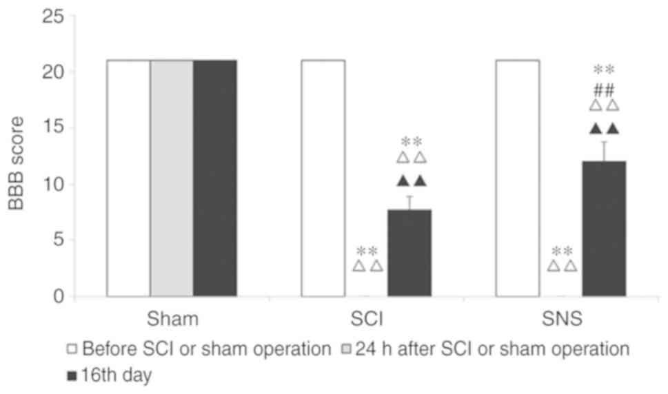 Effects Of Sacral Nerve Electrical Stimulation On 5 Ht And 5 Ht3ar 5 Ht4r Levels In The Colon And Sacral Cord Of Acute Spinal Cord Injury Rat Models