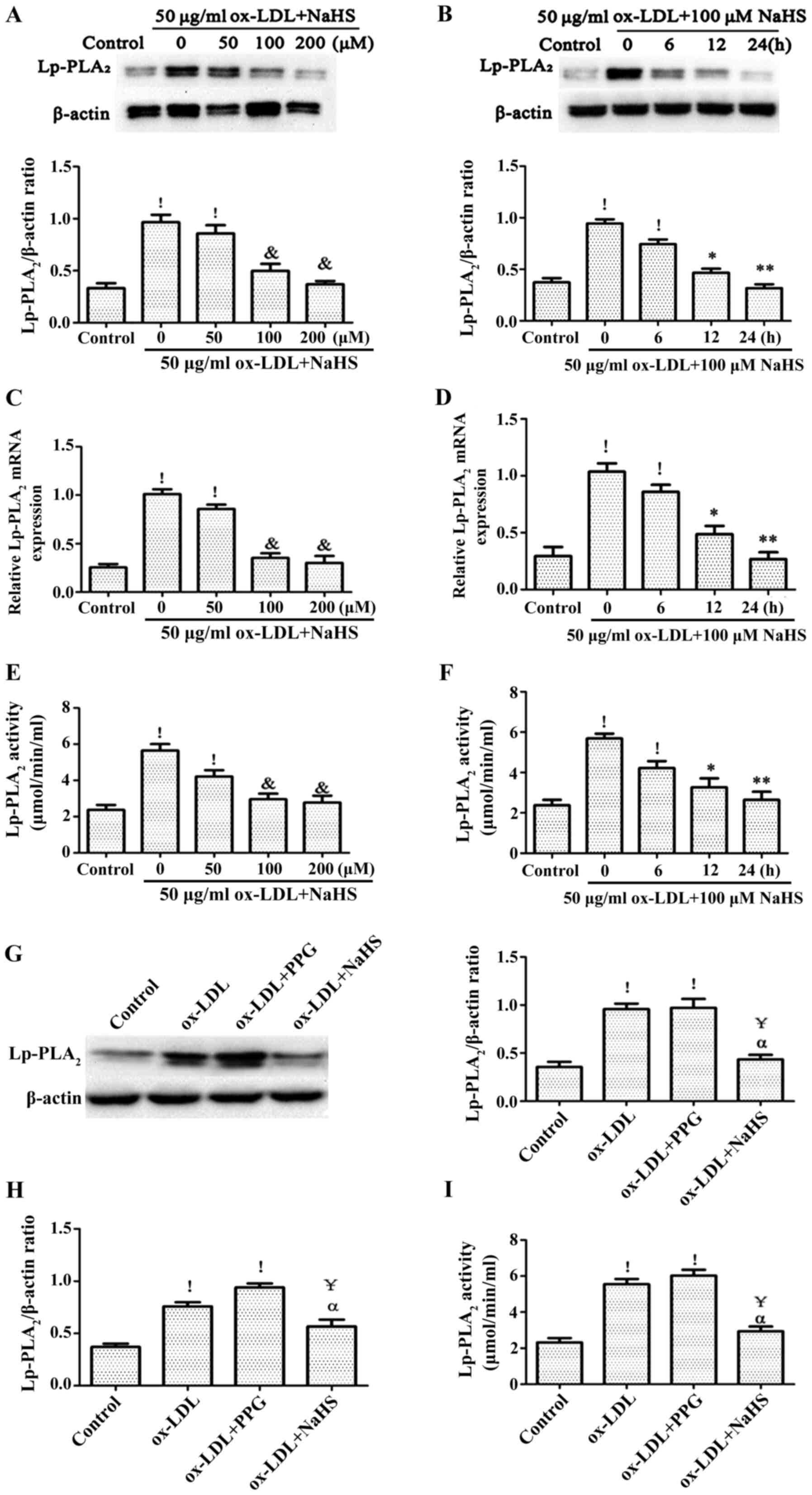 Hydrogen sulfide improves ox‑LDL‑induced expression levels of Lp 
