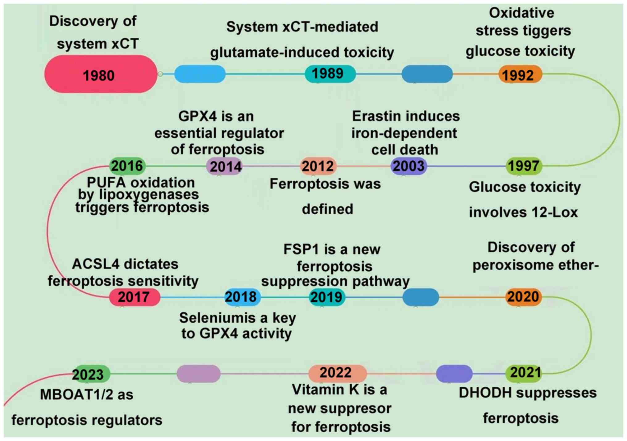 Molecular Medicine Reports