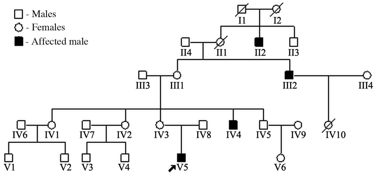 Turner Syndrome Pedigree Chart