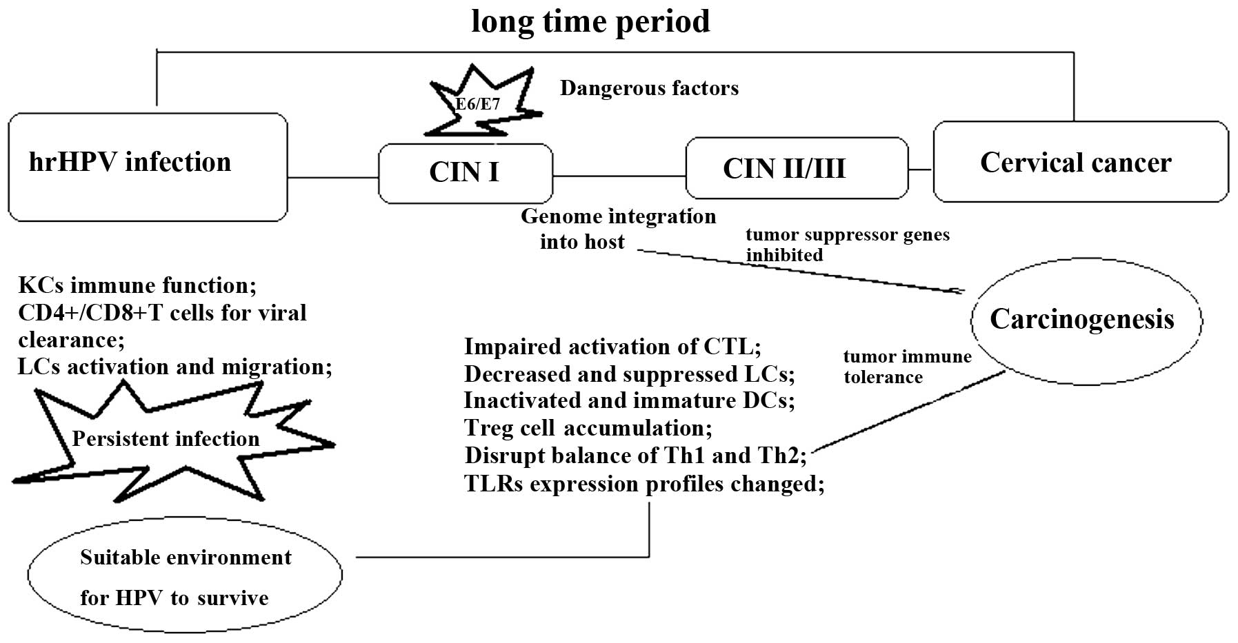 hpv treatment ncbi