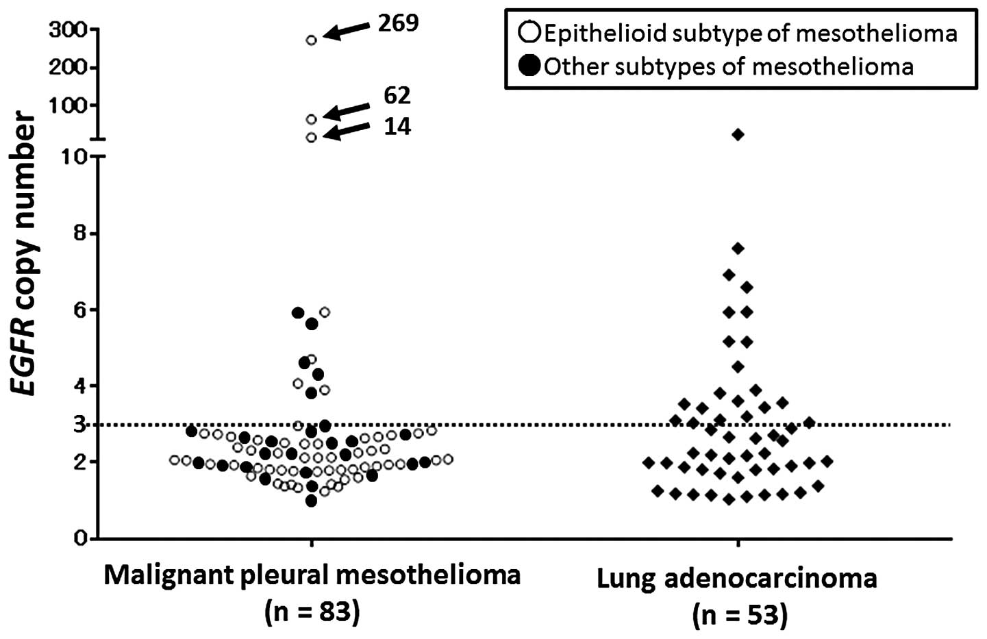 mesothelioma is found